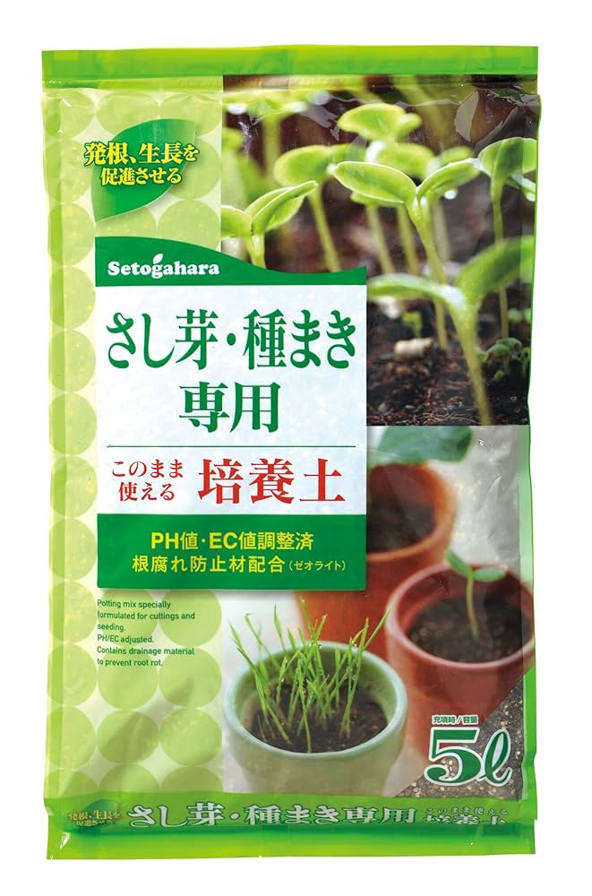 Y*e様 【ラスト小葉/安心の発根済株/鉢込/新芽3か所程度】 斑入り パンダガ 153【葉挿しと胴切り】保険株を育てて夏も安心 - YouTube